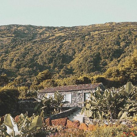 Adegas Do Pico Villa Prainha  Dış mekan fotoğraf