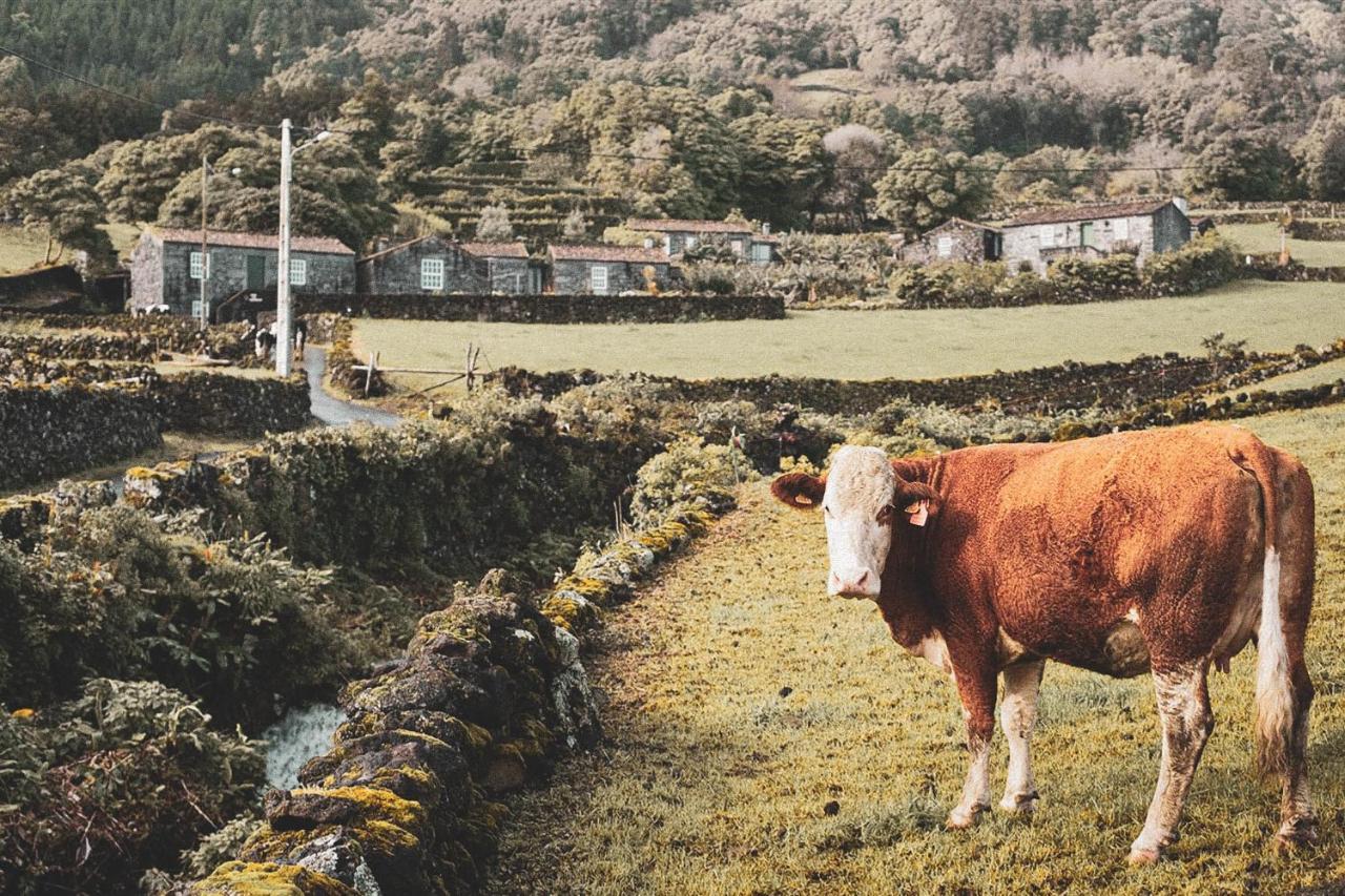 Adegas Do Pico Villa Prainha  Dış mekan fotoğraf